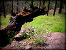 photo thumbnail #7