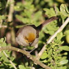 photo thumbnail #6