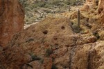 photo thumbnail #5