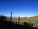 photo thumbnail #2