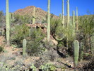 photo thumbnail #3
