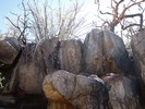 photo thumbnail #14