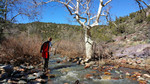 photo thumbnail #3