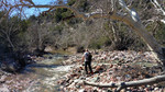 photo thumbnail #7