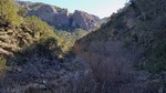 photo thumbnail #10