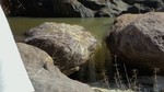 photo thumbnail #13
