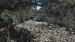 photo thumbnail #14