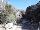 photo thumbnail #1