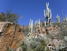 photo thumbnail #3