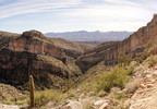 photo thumbnail #2