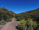 photo thumbnail #1