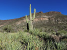 photo thumbnail #8