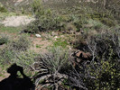photo thumbnail #9