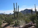 photo thumbnail #2