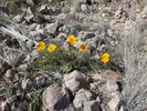 photo thumbnail #3