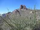 photo thumbnail #5
