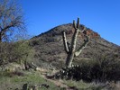 photo thumbnail #5