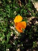 photo thumbnail #14