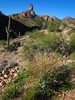 photo thumbnail #15