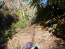 photo thumbnail #7