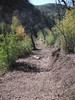 photo thumbnail #11
