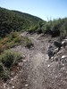 photo thumbnail #13