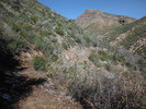 photo thumbnail #14