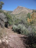 photo thumbnail #15