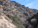 photo thumbnail #10