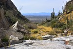 photo thumbnail #14