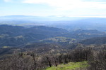 photo thumbnail #11
