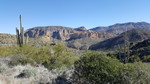 photo thumbnail #1