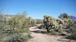 photo thumbnail #1