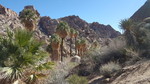 photo thumbnail #9