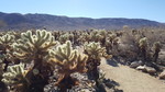 photo thumbnail #11