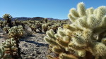 photo thumbnail #13