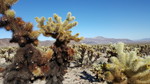 photo thumbnail #14