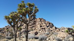 photo thumbnail #15
