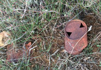 photo thumbnail #2
