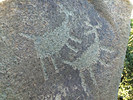 photo thumbnail #6
