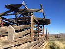photo thumbnail #10