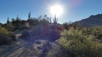 photo thumbnail #3