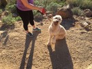 photo thumbnail #1
