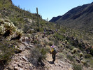 photo thumbnail #11