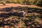 photo thumbnail #11