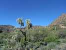 photo thumbnail #4