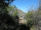 photo thumbnail #13