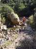 photo thumbnail #3