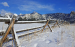 photo thumbnail #3