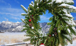 photo thumbnail #5